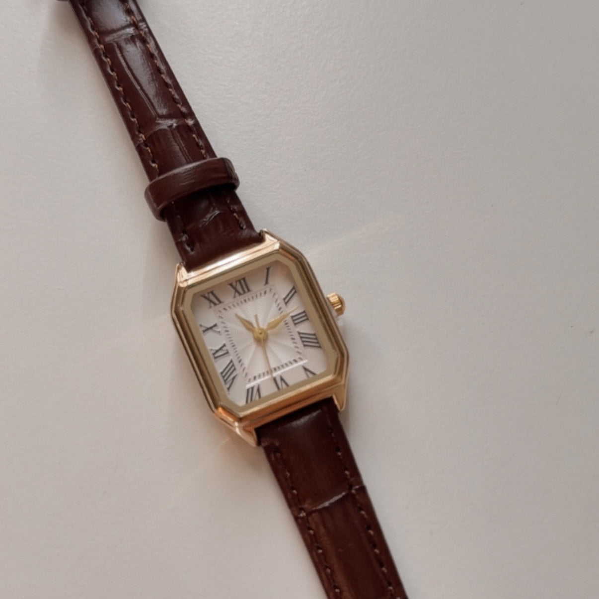 Brown Band Watch