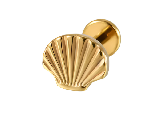 Seashell Stud