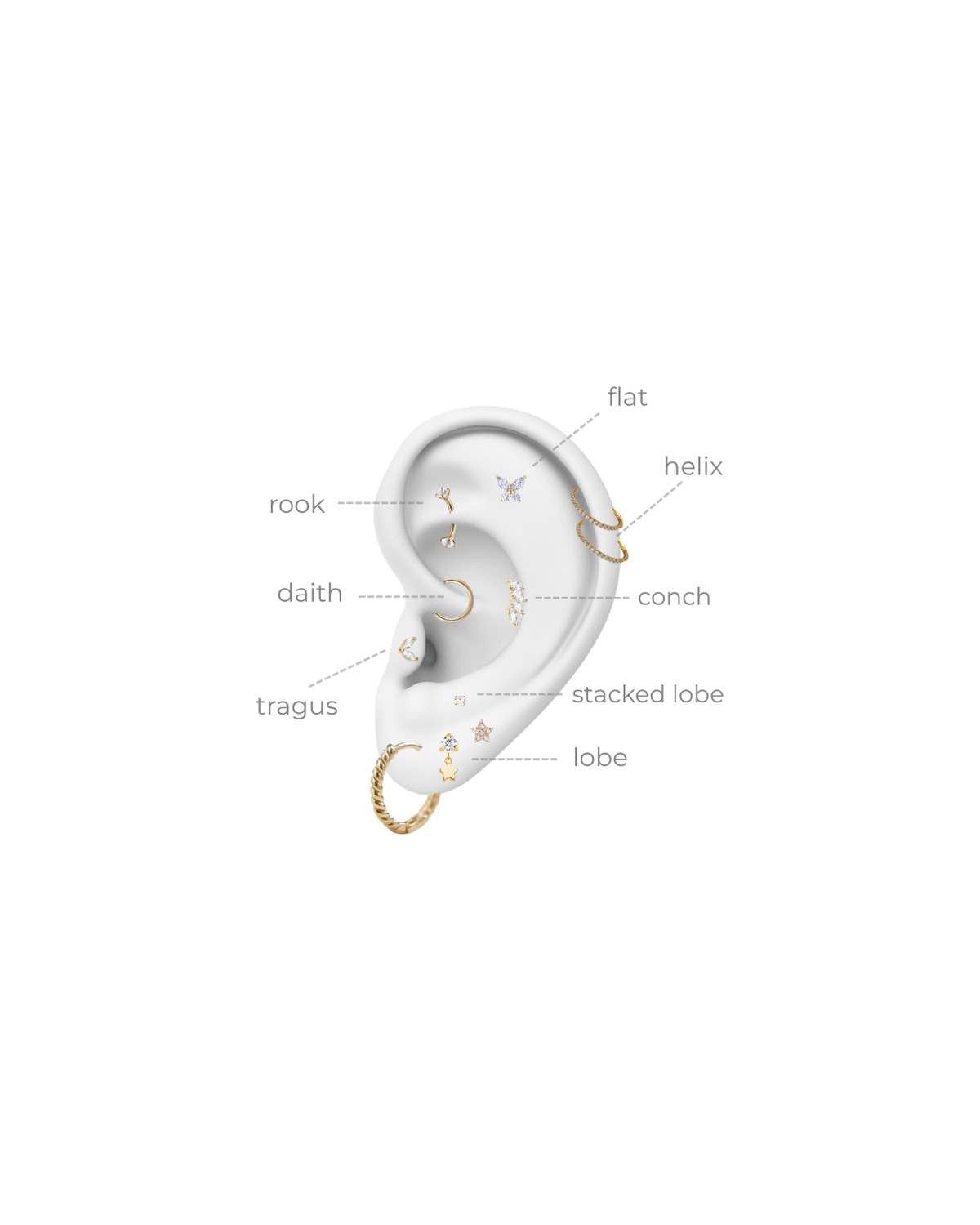 Tragus