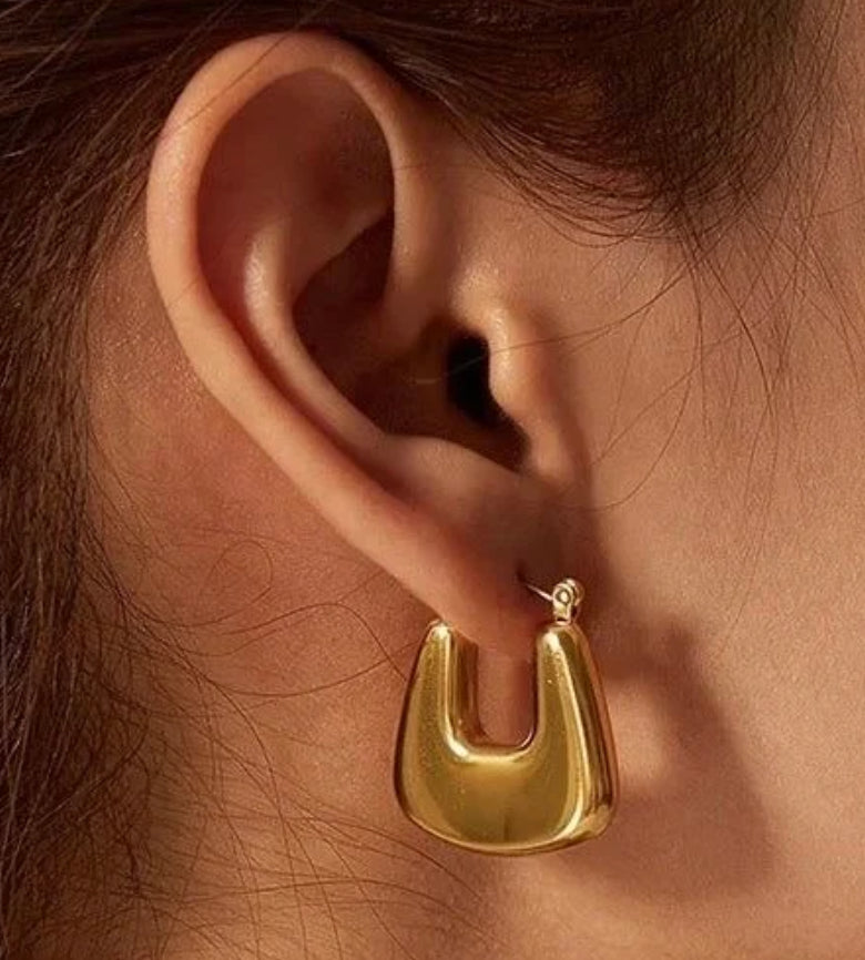 Lizzy Hoops
