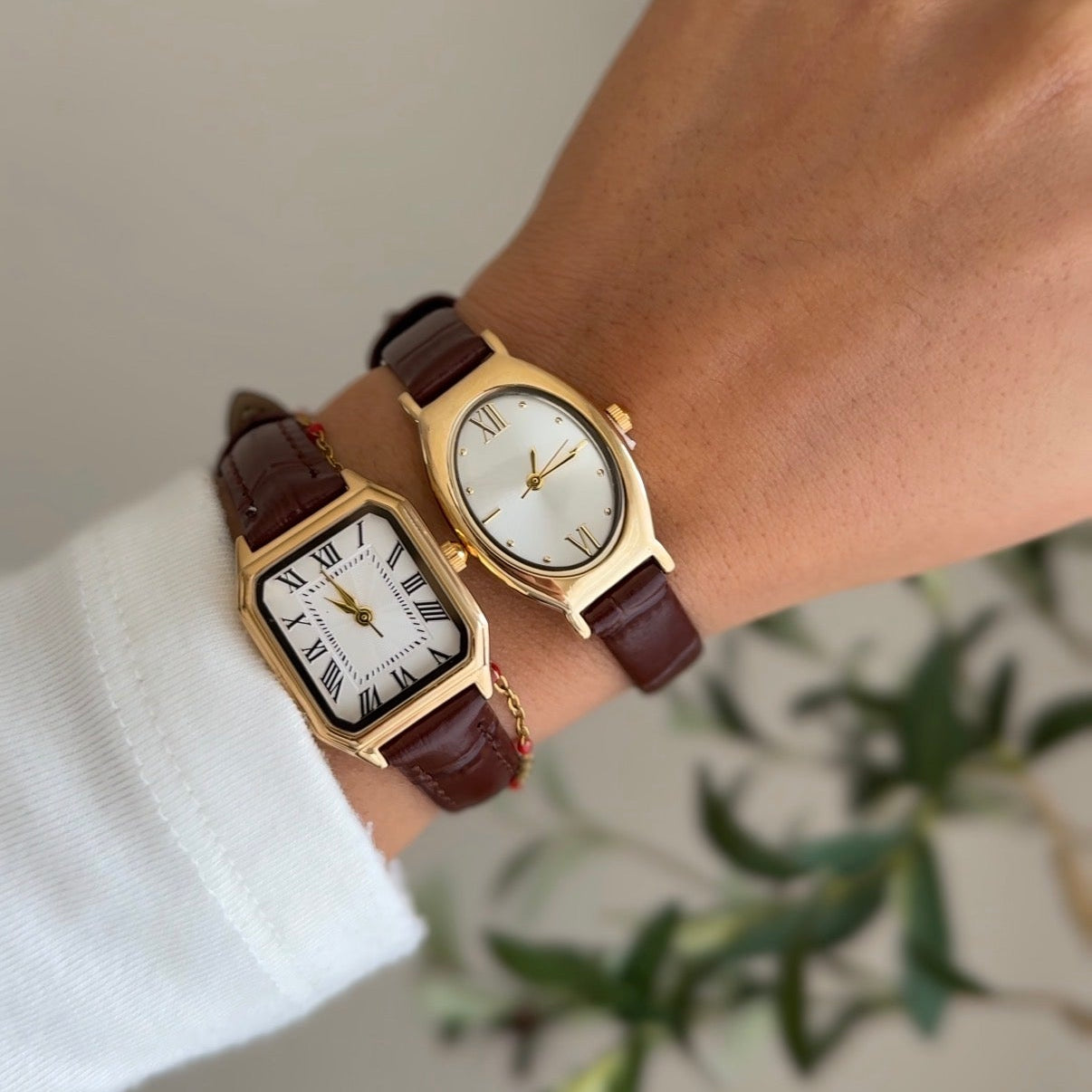Brown Band Watch