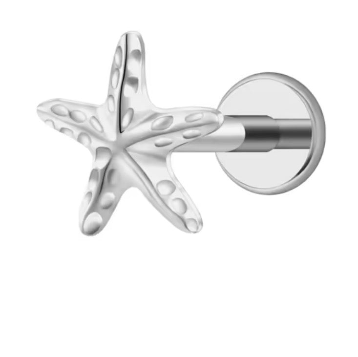 Starfish Stud
