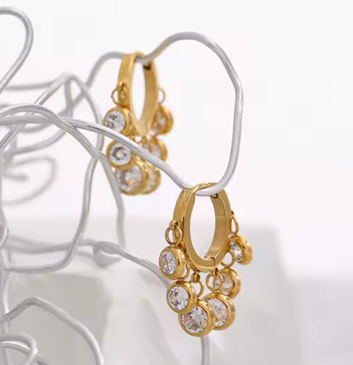 Carmen Hoops