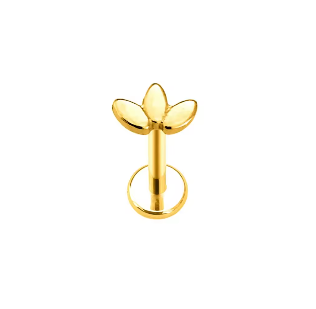 Amber Stud