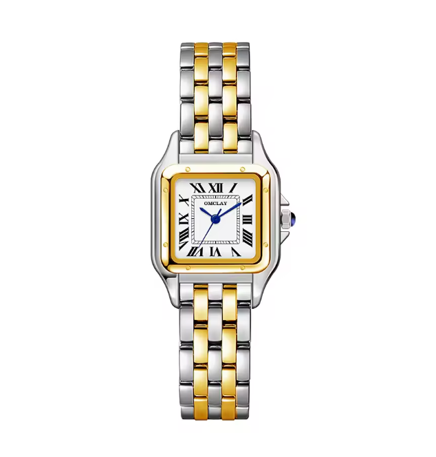 Two Tone Vintage Watch