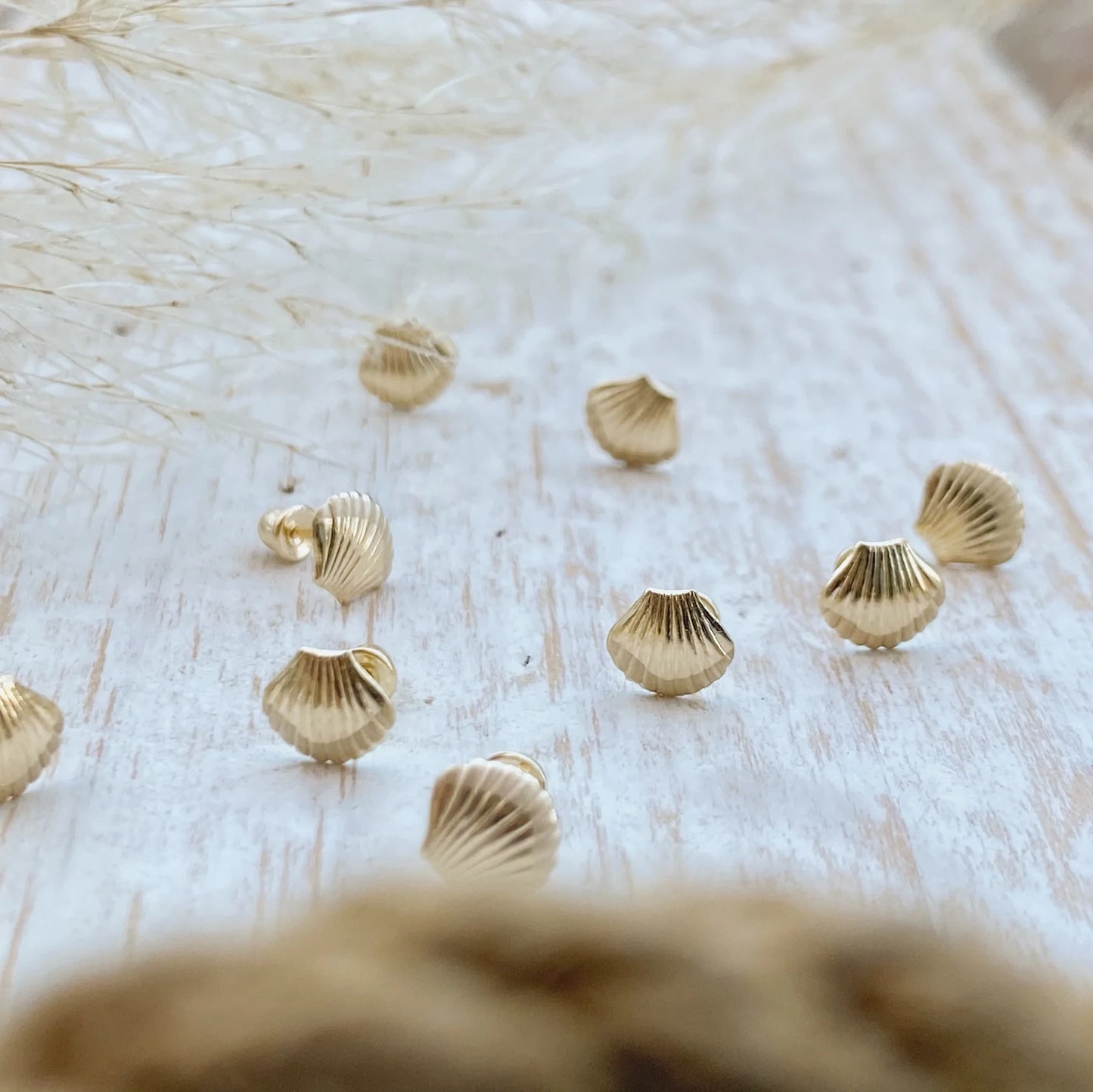 Seashell Stud
