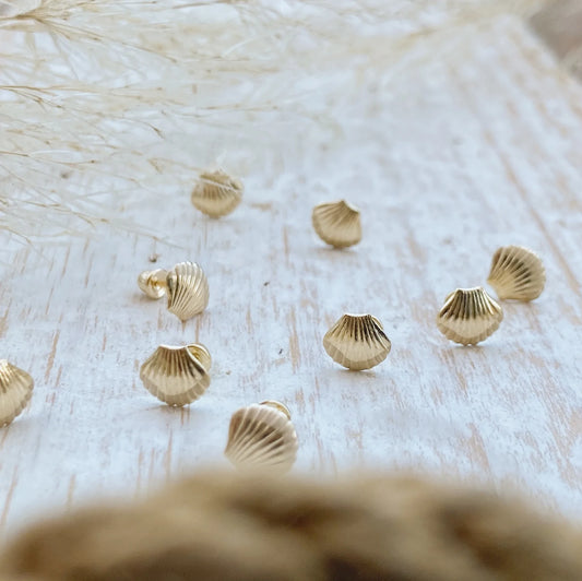 Seashell Stud